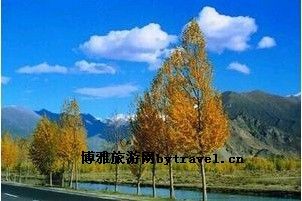 雅砻河风光