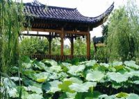 绿色大地生态观光园
