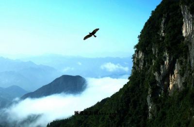 大通娘娘山景区