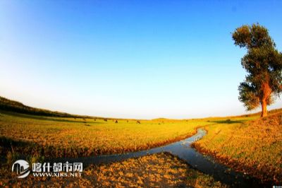 穆孜鲁克湿地景区