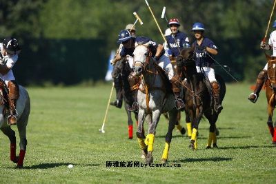 阳光时代马球俱乐部