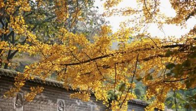 古观音禅寺（终南山观音禅寺）