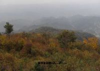 秦王山自然风景区