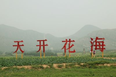 天开花海景区