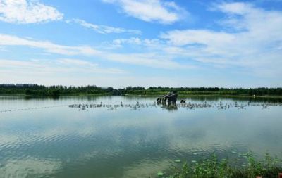 大兴滨河森林公园