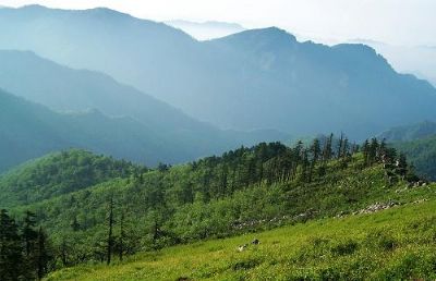 佛坪药子梁景区