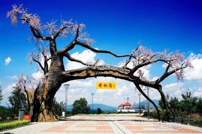 西乡樱桃沟景区