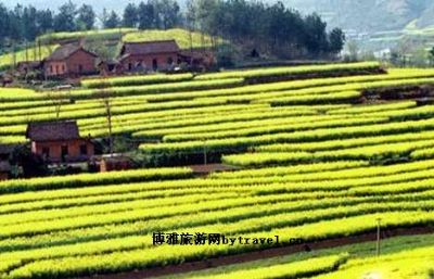 五里坝风景区