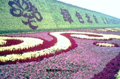 北京国际鲜花港