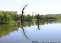 长沟湿地公园