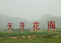 天开花海景区