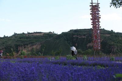 申河国际旅游度假村