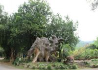 勐巴娜西大花园