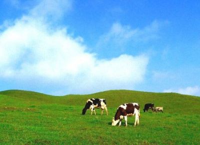 龙胜南山牧场