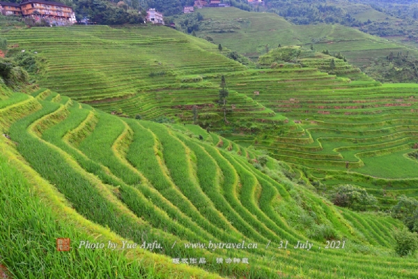 龙脊梯田