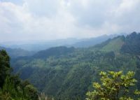 灌阳太子山原始森林