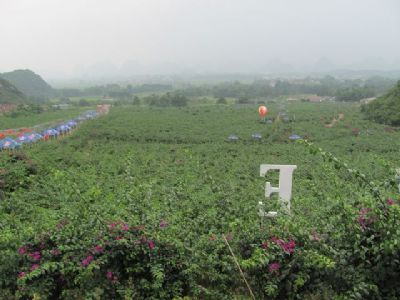 桂林花海景区