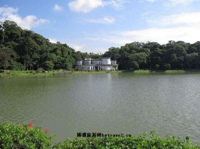 碧湖公园