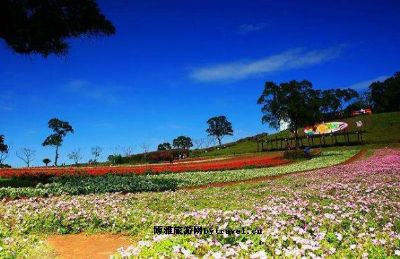 大溪花海农场