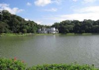 碧湖公园