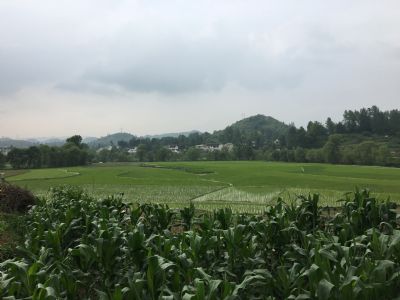 柳岸水乡解放村景区