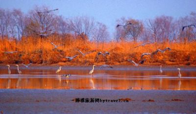 河北衡水湖