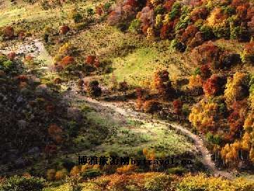 金莲山庄