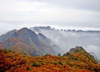 历山国家自然保护区