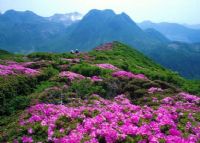 左权庙田风景区