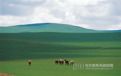 杜尔伯特草原