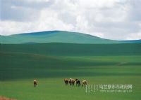 杜尔伯特草原