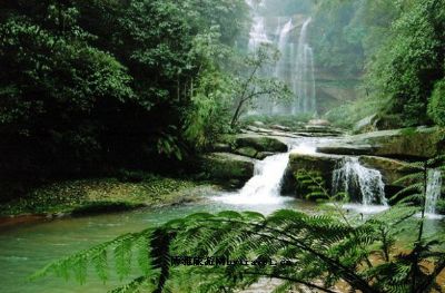 马鞍山国家森林公园