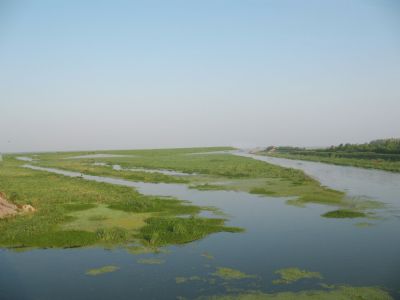 大通湖国家湿地公园