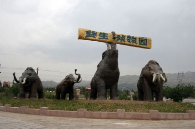 大青山野生动物园