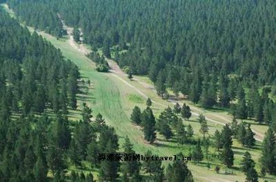 红花尔基樟子松国家森林公园