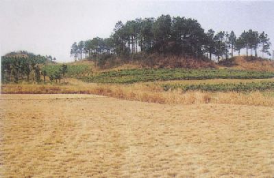沃野镇故城