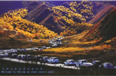 原始森林马鞍山