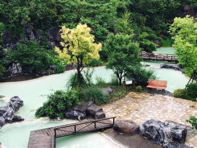 上海辰山植物园矿坑花园