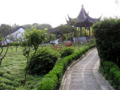 上海新泾公园