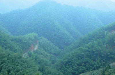 九峰山景区