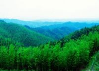 九峰山森林生态公园