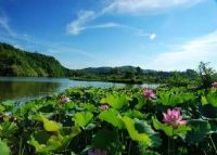 衡南莲湖湾国家湿地公园
