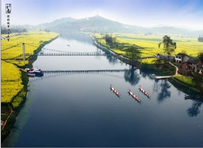 陈抟故里·崇龛花海景区