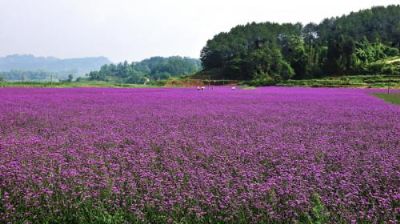 重庆市生态农业大观园