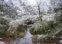 秘境大雪山