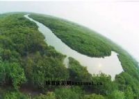 湛江红树林自然保护区