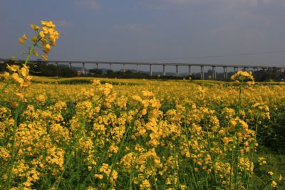 镇江坝