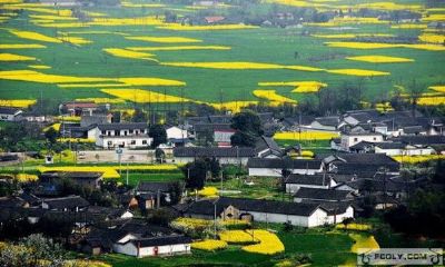 绵竹九龙山乡村旅游景区