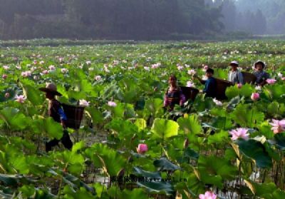 黑龙观村