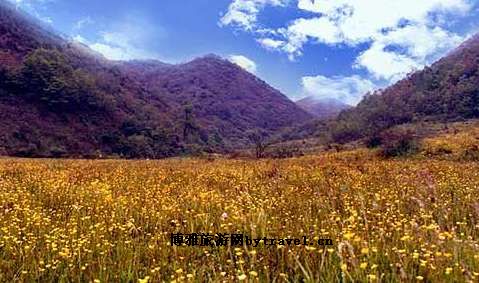 羊山生态旅游区